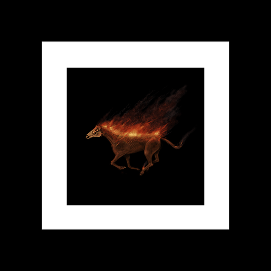 Year of the Fire Horse